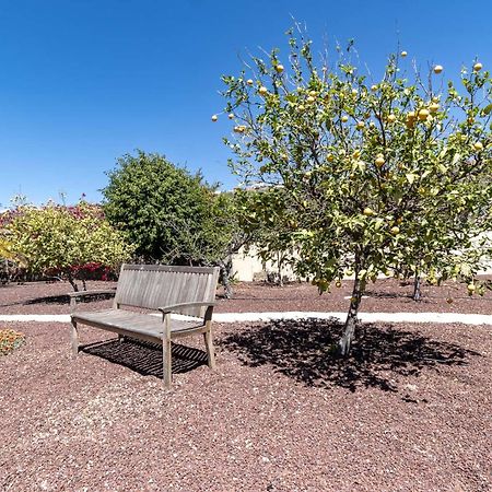 Casa Las Palmeras Granadilla de Abona Kültér fotó
