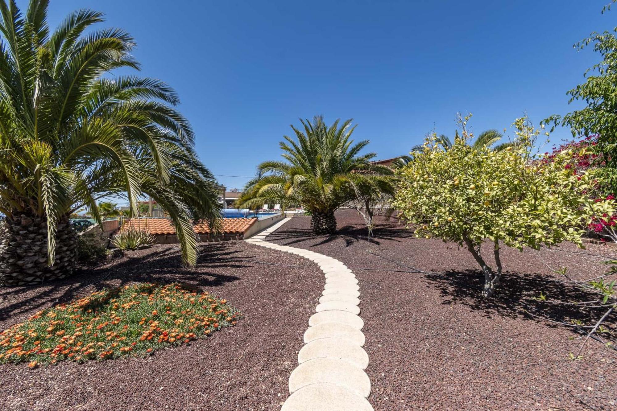 Casa Las Palmeras Granadilla de Abona Kültér fotó